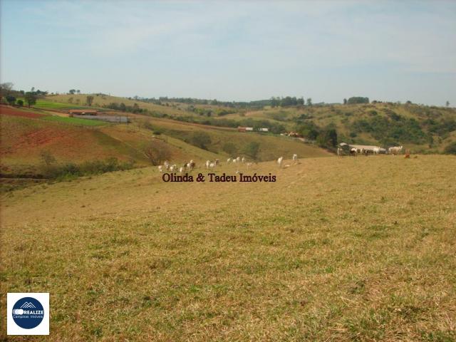 Fazenda à venda, 242000m² - Foto 17