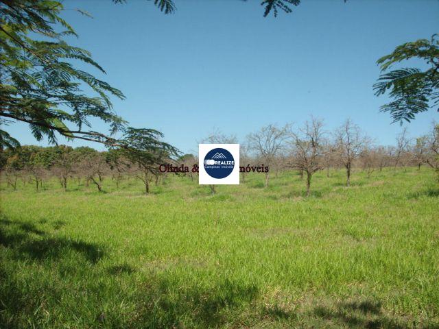 Fazenda à venda, 40000m² - Foto 1